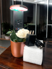 Smart Multi-Use Flower Pot